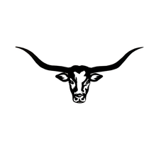 Load image into Gallery viewer, Longhorn Head Cutout Adornment